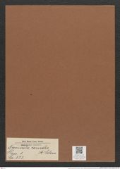 Navicula consors A.Schm. (de-Toni-Nr.: Genus 1, Species 323) Zeichnungen Sammlung Grunow Mappe 00275 (Herbarium_W_Grunow_drawings_Folder_00275)